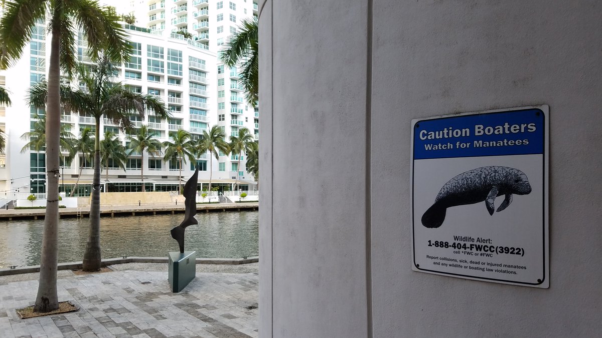 marc conte tweet media