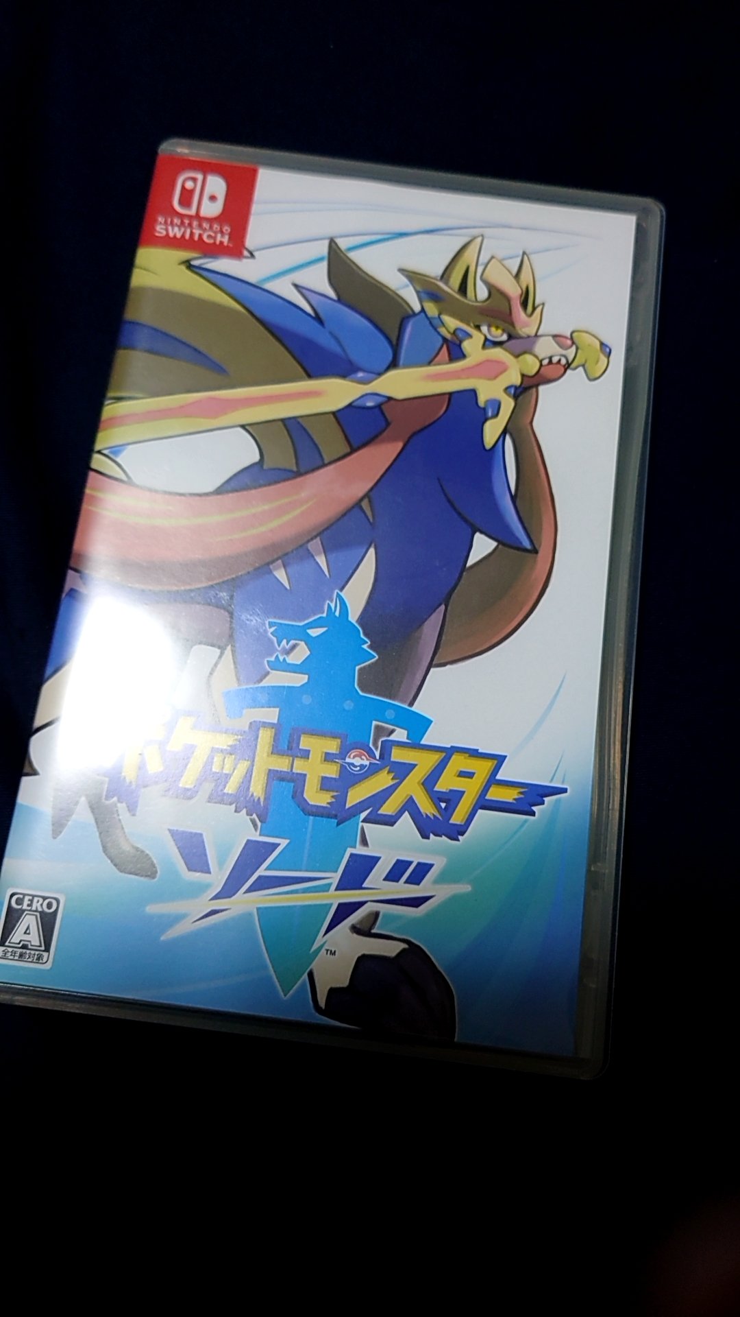 ほり ポケモン新作フラゲしました T Co Npprotary1 Twitter