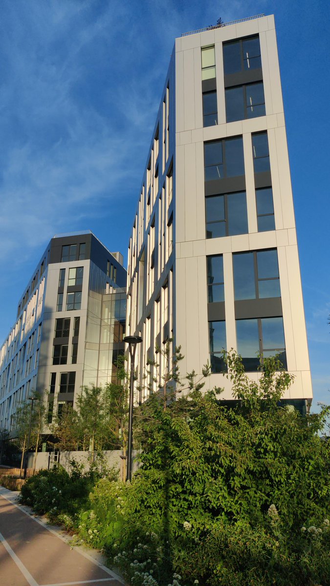 Plaine Co Développement tweet media