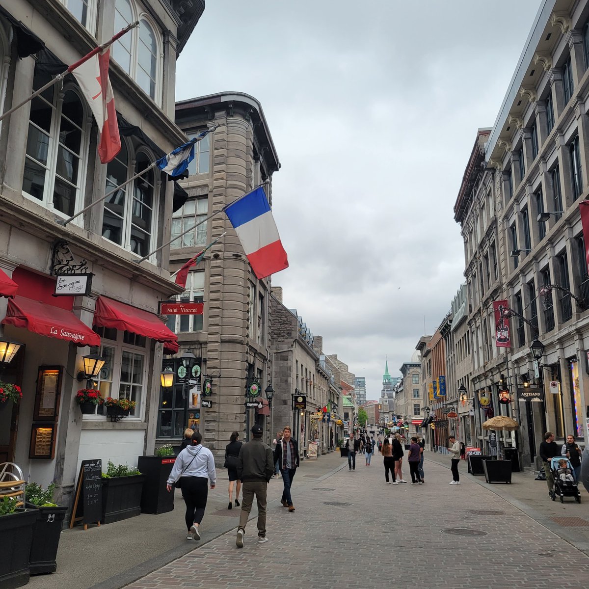 Maddie Morris tweet media