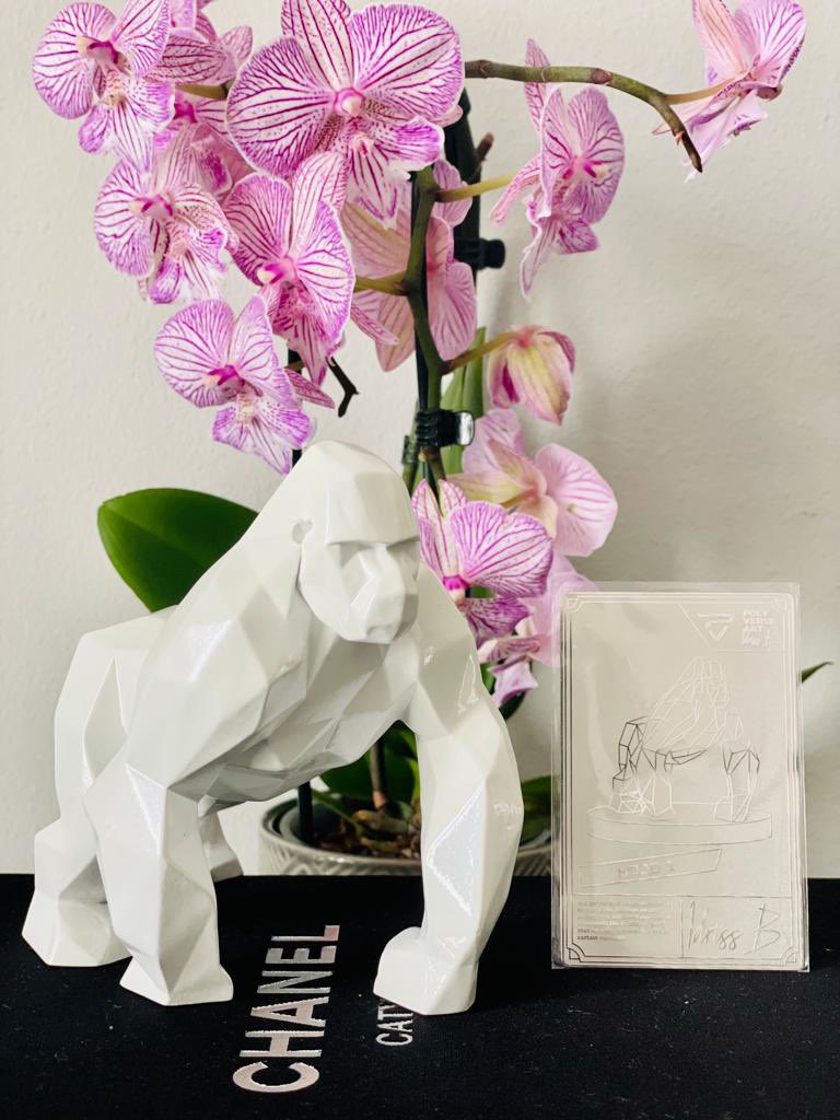 TheGrandRoom's tweet image. 😍massive thanks to @idrissbcom and @Polyverseart for the real life sculpture of my epic Polyverse NFT!! Absolutely stunning! Came with an authentic certificate too!