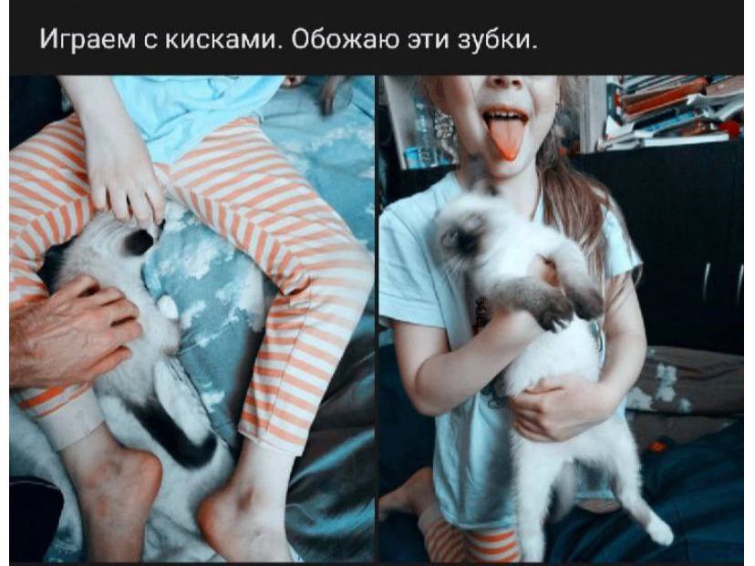 skelestonkss's tweet photo. Это пиздец

В вк обитает такое вот уебище из Новосибирска https://t.co/Yph5fPUKTf

На его странице творится полный трэш, он домогается до своих несовершеннолетних родственниц

Рт плиз https://t.co/RaLIhoh3x3