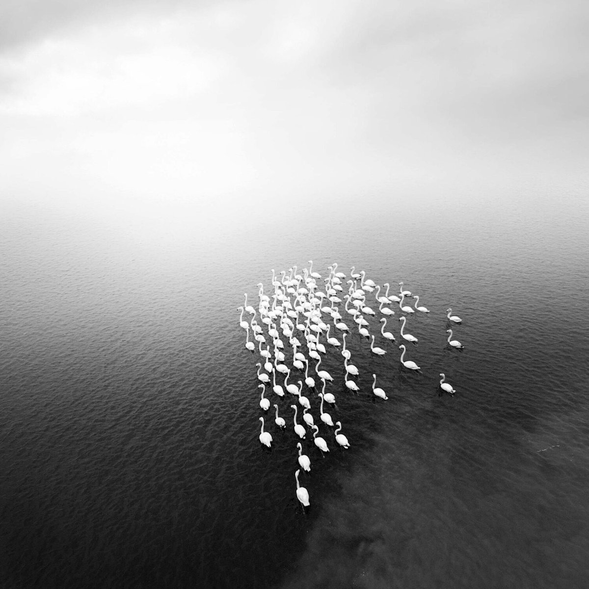 Alexandre Manuel 
#photography