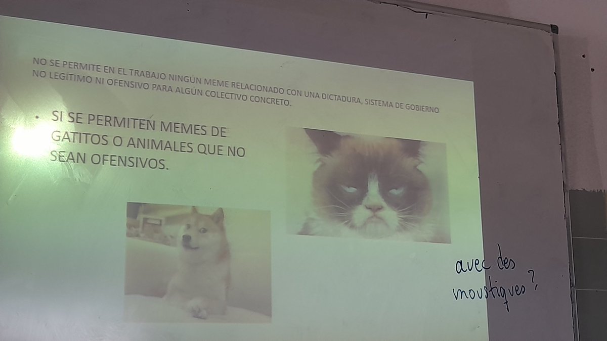joseema_mg's tweet photo. POV: 1 Bachillerato de ciencias https://t.co/33nZgnMY2E