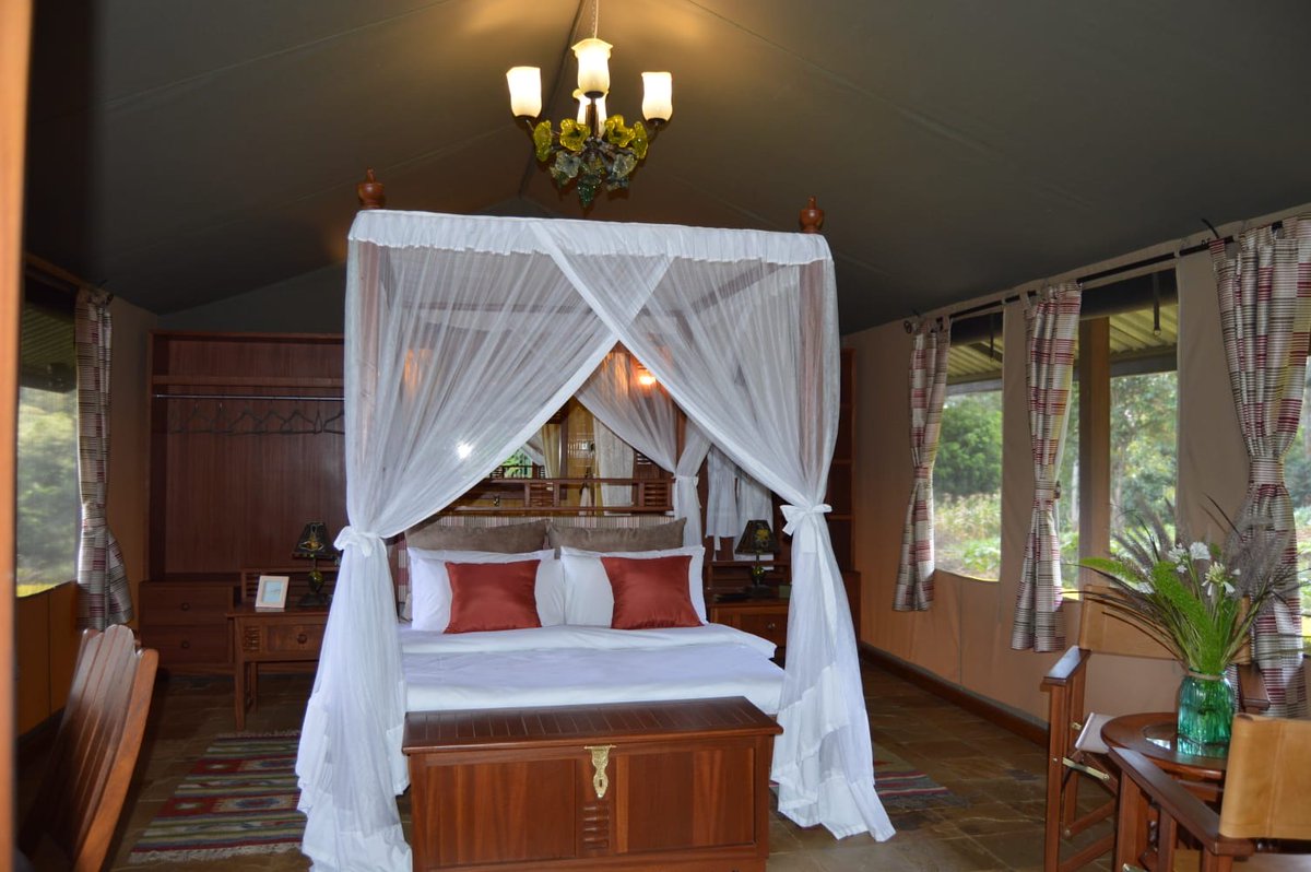 Holiday Finder tweet media