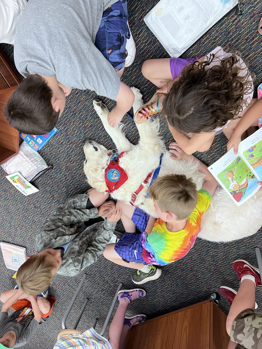 MrsClementsC11's tweet photo. We loved our visit with Bing! 

Bing is a therapy dog &amp; he sure knows how to do his job! The kids all said they felt VERY happy after visiting with him 🥰 https://t.co/rWjkvGgyLC