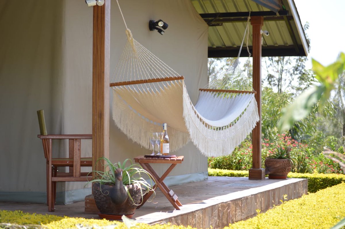 Holiday Finder tweet media