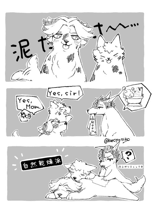 #俺の11代目BDを見てくれ
末長く幸せに暮らしてくれ～～～～～～～～😭✨
(再掲) 