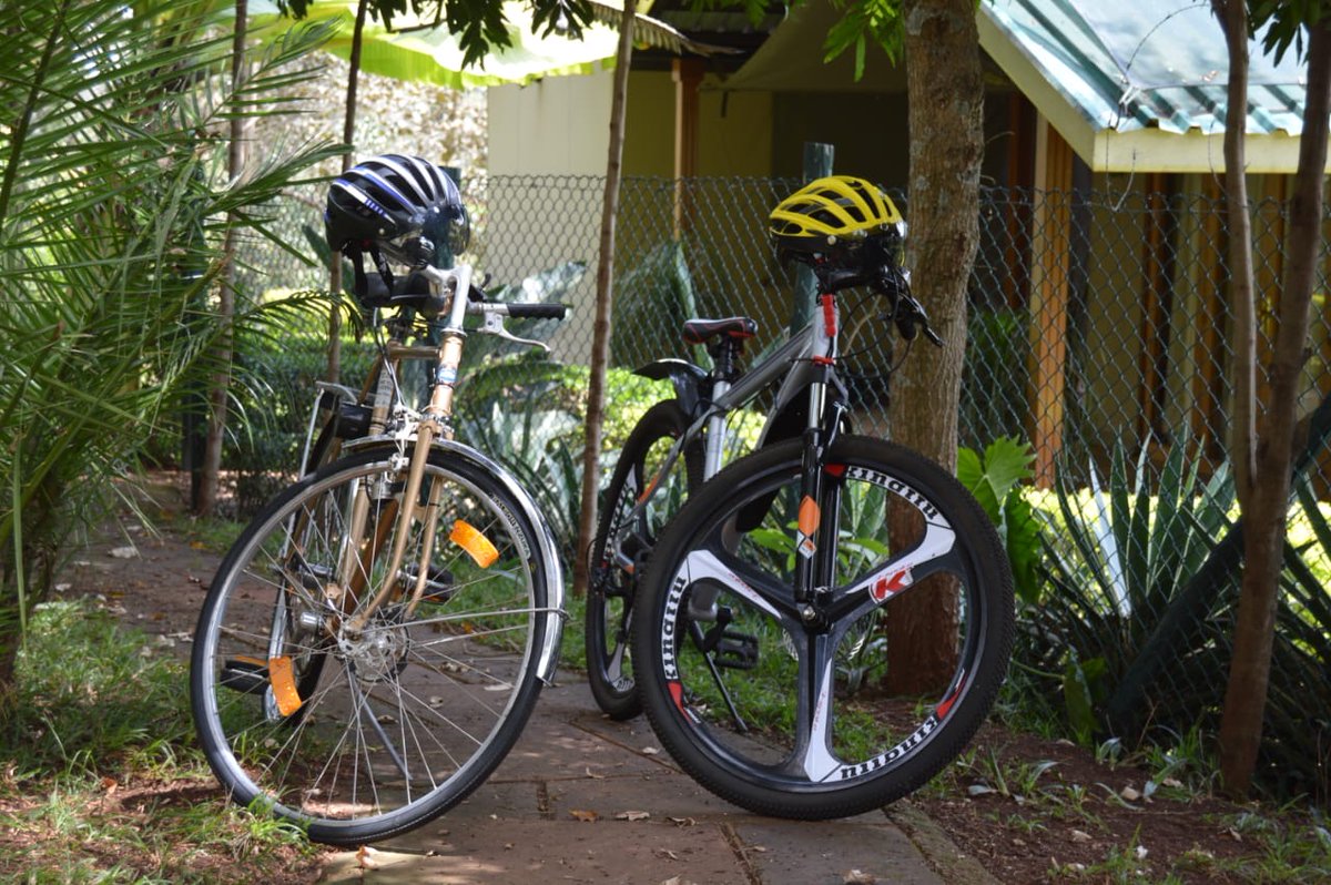 Holiday Finder tweet media