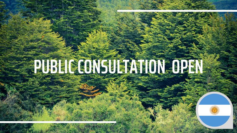 PEFC's tweet photo. The public consultation for the revised Argentine forest certification system is open! Give your feedback by 29 July - this is your chance to have your say. You can also check out our webinar recording for more information 👉 https://t.co/gx6HJ7MCgq @CERFOAR https://t.co/AN24GPzi8d