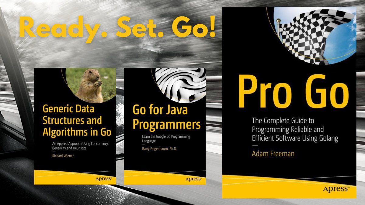 Want to learn Go, but not sure where to begin? Ready to do more with Go? With books like Pro Go by Adam Freeman, Go for Java Programmers by Barry Feigenbaum, &amp; Generic Data Structures and Algorithms in Go by Richard Wiener, and others, we’ve got you covered! #Golang #programming