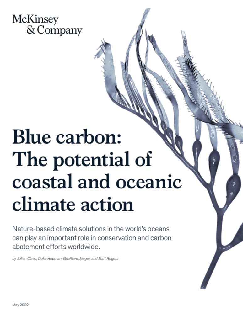 An excellent new report on the Opportunities for Blue Carbon by @McKinsey mckinsey.com/~/media/mckins… good representation of the science and challenges facing this key nature-based solution