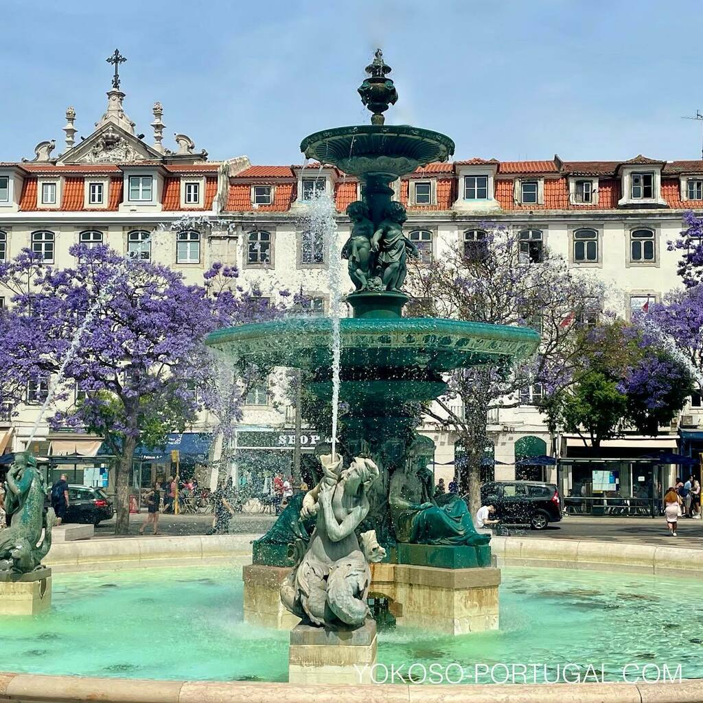 test ツイッターメディア - 10日前のロシオ広場のジャカランダと噴水。 #ポルトガル #リスボン #ジャカランダ https://t.co/3cDdkSRaiW