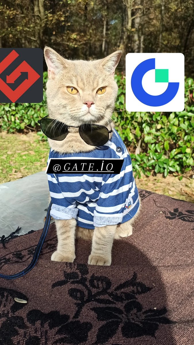 RyjiYoshida1's tweet photo. @gate_io @KotaSengoku @habashtsmaybee1 @Vlomy1u
#GateioPet #GateioTurns9 
My UID: 11110730 https://t.co/taj8R6aFWT