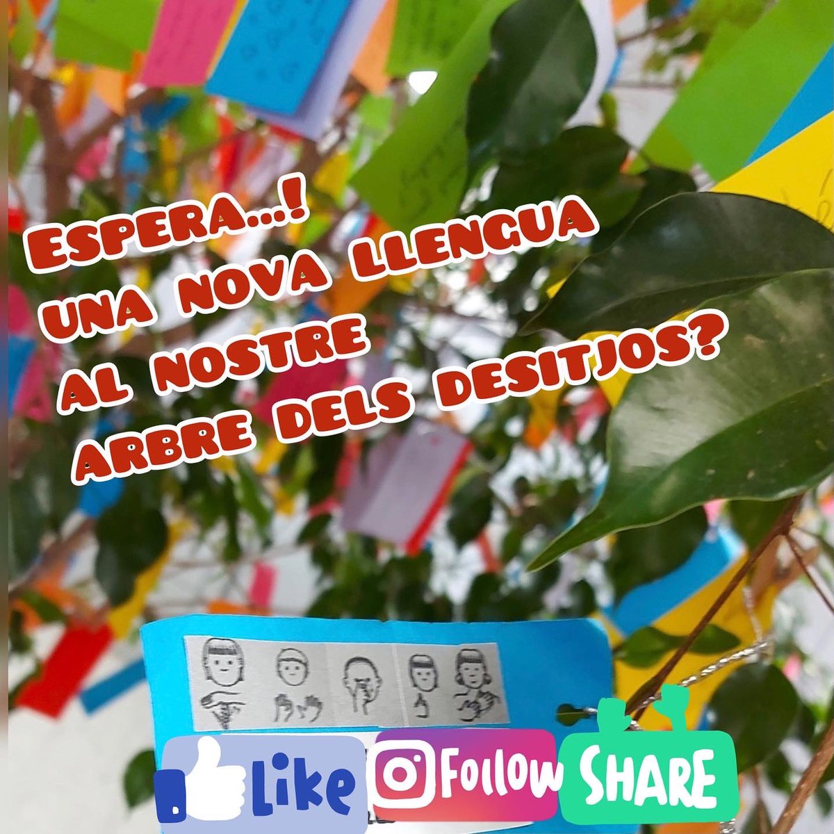 EOIBarcelona's tweet photo. La llengua de signes catalana al nostre arbre dels desitjos! Sabies que la pots aprendre a Drassanes?
#socdrassanera #socdrassaner https://t.co/5vAbnKTQ1Q