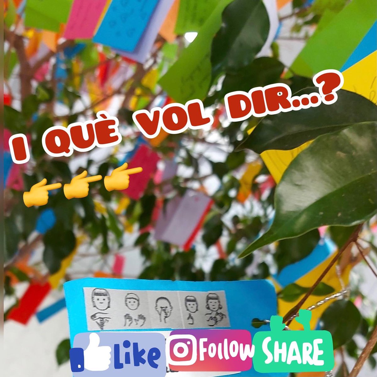 EOIBarcelona's tweet photo. La llengua de signes catalana al nostre arbre dels desitjos! Sabies que la pots aprendre a Drassanes?
#socdrassanera #socdrassaner https://t.co/5vAbnKTQ1Q