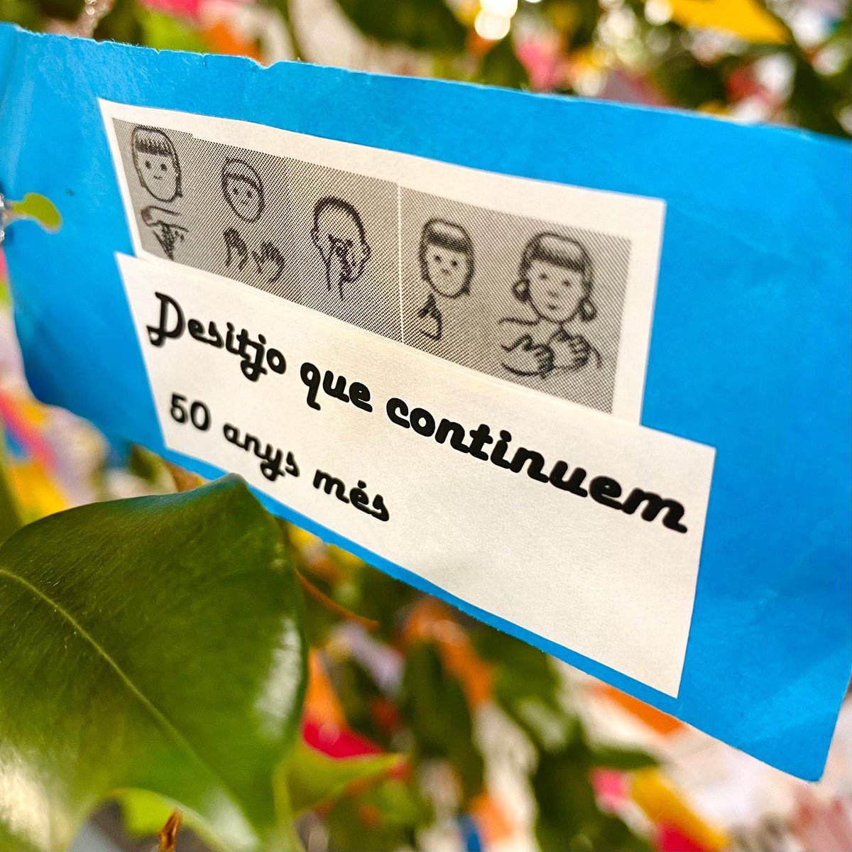 EOIBarcelona's tweet photo. La llengua de signes catalana al nostre arbre dels desitjos! Sabies que la pots aprendre a Drassanes?
#socdrassanera #socdrassaner https://t.co/5vAbnKTQ1Q