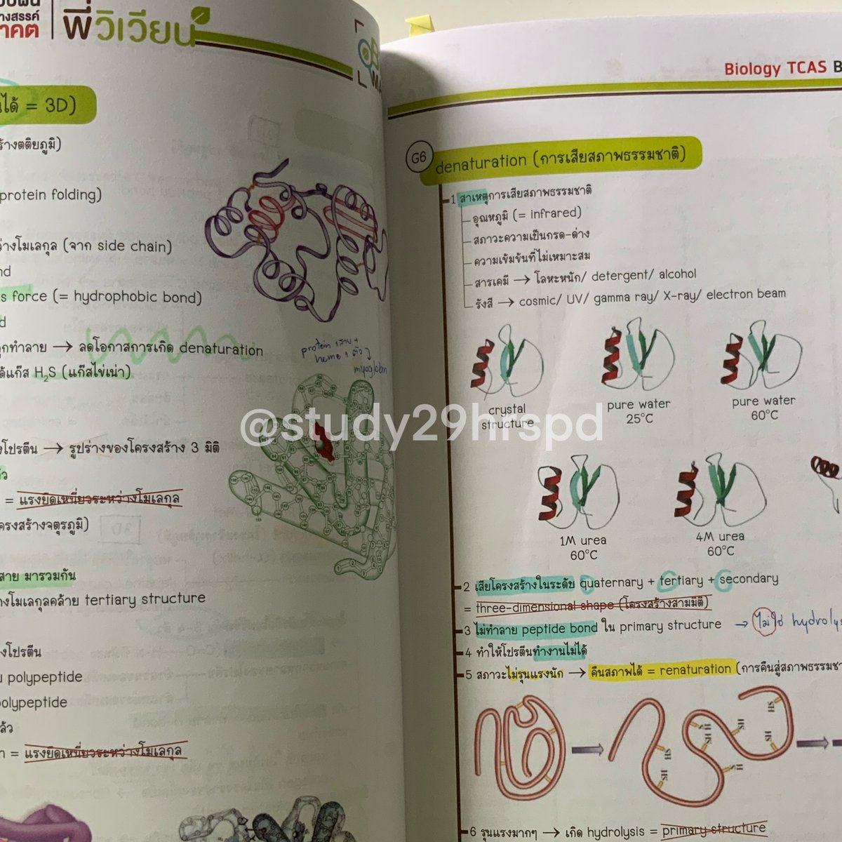 study29hrspd's tweet photo. หนังสือชุด tacs biology พี่วิเวียน
ใช้อ่านสอบได้ เนื้อหาละเอียดครบ
700รวมส่ง ต่อรองราคาได้คั้บ 
#GATPAT #dek65 #dek66 #dek67 #กสพท65 #กสพท66 #ส่งต่อหนังสือเตรียมสอบ #ส่งต่อคอร์สเรียนพิเศษ #biomap https://t.co/qiqmm0pIvp
