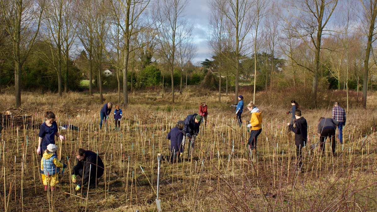 serviceatkings's tweet photo. “One of our goals is to encourage more local people to discover Grove Farm, learn about nature and through this encourage a greater appreciation for the nature reserve and the surrounding green areas.” - Dr Anna Rebmann
#VolunteersWeek #ServiceAtKings #KingsVolunteering https://t.co/aYTuLnLvj4