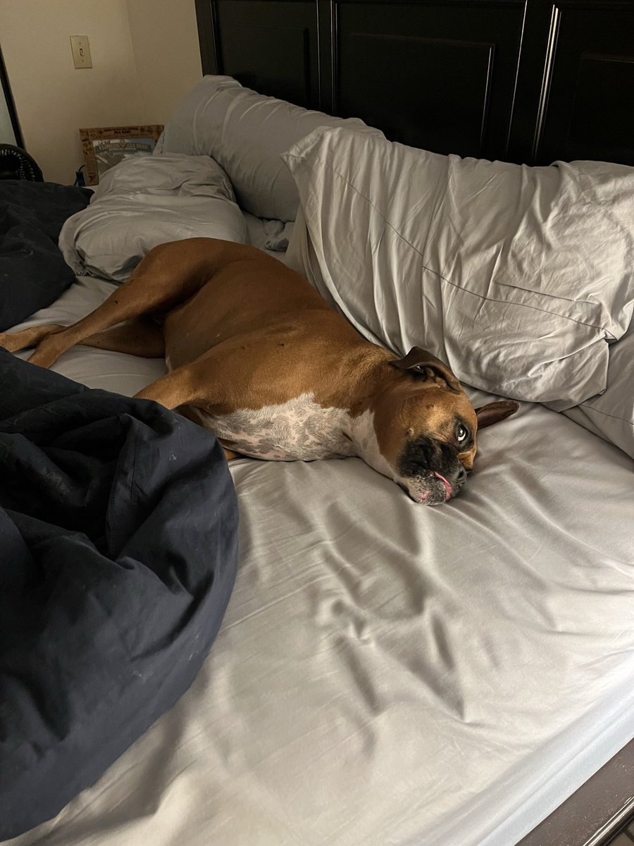 graceveni's tweet photo. @MVZaGoGo Rosie agrees https://t.co/clhQGKPNn7