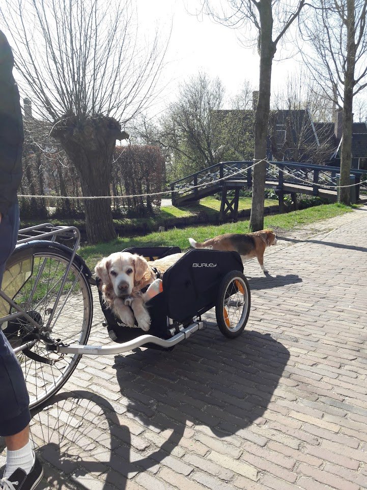 WolversRob's tweet image. 