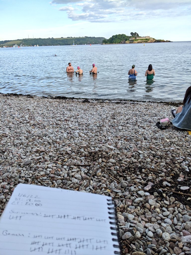 guy__hooper's tweet photo. Lots of swimmers on the first day of June! Lets get this bathing water designated! @LukePollard #firestonebay #justkeepswimming https://t.co/XYYs9sZ0UO