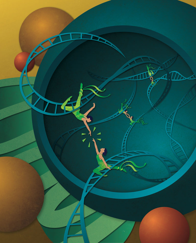 HFSP Long-Term Fellow Michal Levo @Princeton and colleagues demonstrate that distant genes, separated by large genomic distances, engage in coordinated gene activity in living embryos bit.ly/3GF74My