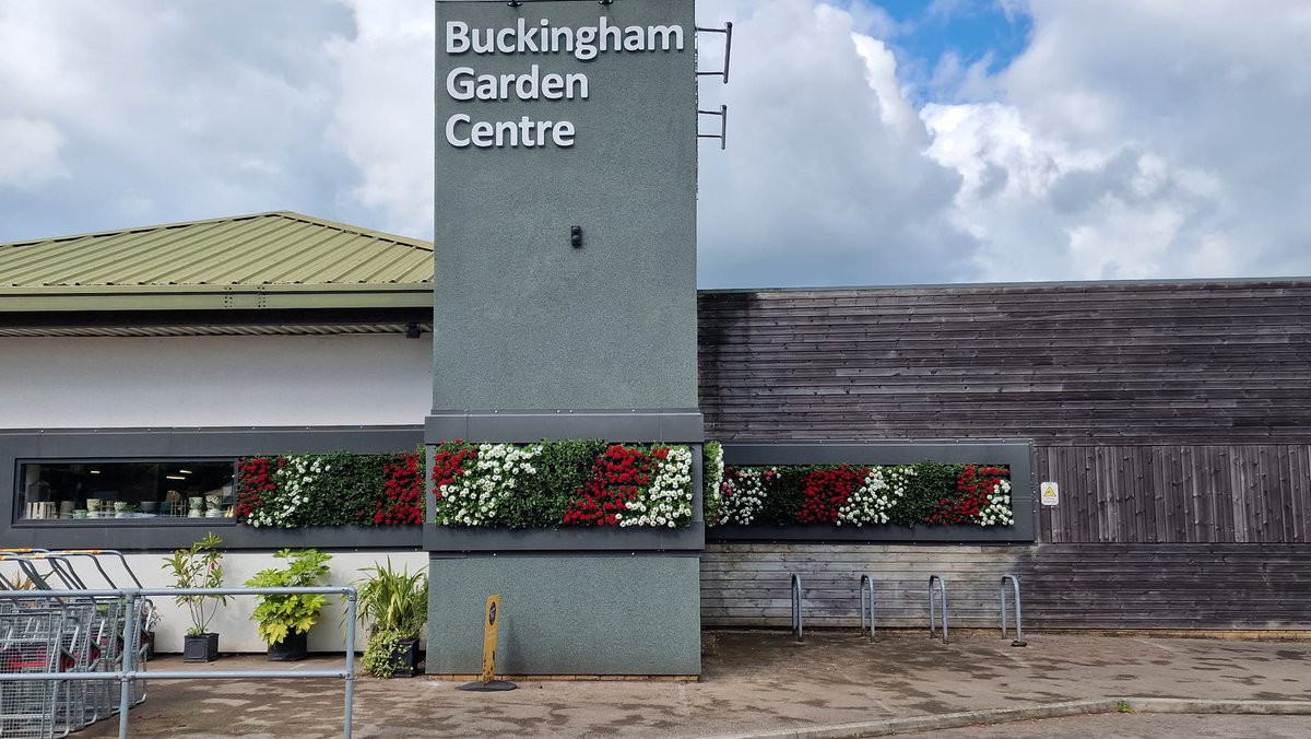 BuckinghamGC's tweet photo. 🇬🇧  #queensplatinumjubilee starts today ❤ We're open as usual and we have plenty of lovely plants, restaurant fayre and gift ideas. 🇬🇧  Our Living Wall is beginning to show its red, white, blue Verbena Showboat blooms at the front of the Garden Centre. #queensplatinumjubilee https://t.co/N5snzaLnVT