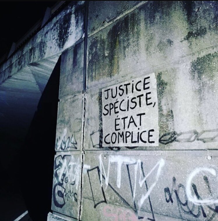 CollAnimalistes's tweet photo. 📍Gard

Notre système judiciaire est à l’image de la société qui la compose, spéciste. Forces de l’ordre, avocat•es, juges, sont idéologiquement impregné•es du spécisme, et leurs actions immanquablement conditionnées par lui. [1/2]

(📷 source anonyme)
#EtatComplice #Justice https://t.co/B5fQRGp1f4
