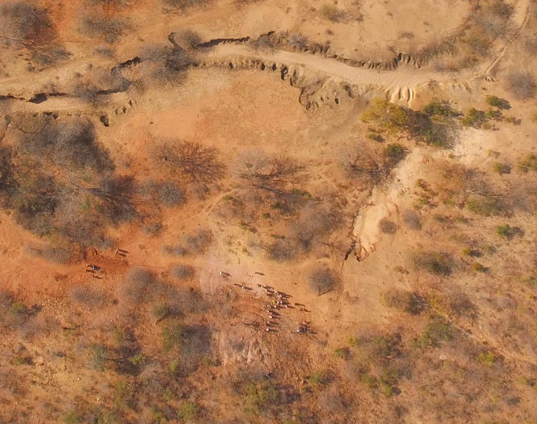 softfootallianc's tweet photo. Landscapes are becoming poor &amp; poor biologically and in terms of opportunities for people. Below are before and after photographs of pieces of land regenerated.

#humanwildlifecoexistence
#abundantlandscapes
#enoughtoshare
#stoppoachingnow
#WalkRideRun
@stoppoachingnowofficial https://t.co/YZN9iDF49L