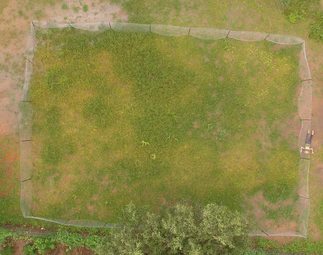 softfootallianc's tweet photo. Landscapes are becoming poor &amp; poor biologically and in terms of opportunities for people. Below are before and after photographs of pieces of land regenerated.

#humanwildlifecoexistence
#abundantlandscapes
#enoughtoshare
#stoppoachingnow
#WalkRideRun
@stoppoachingnowofficial https://t.co/YZN9iDF49L