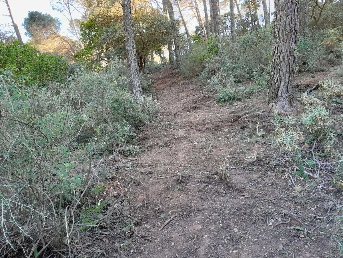 ADIESTRAMIENTO | Acompañamos a los #BomberosForestales del ME-107 en una de sus prácticas. Esta es la complicación que tiene la realización de una línea de defensa en zona con pendiente, dentro del Parque Natural Montes de Málaga. Imágenes que muestran la dureza de su trabajo.