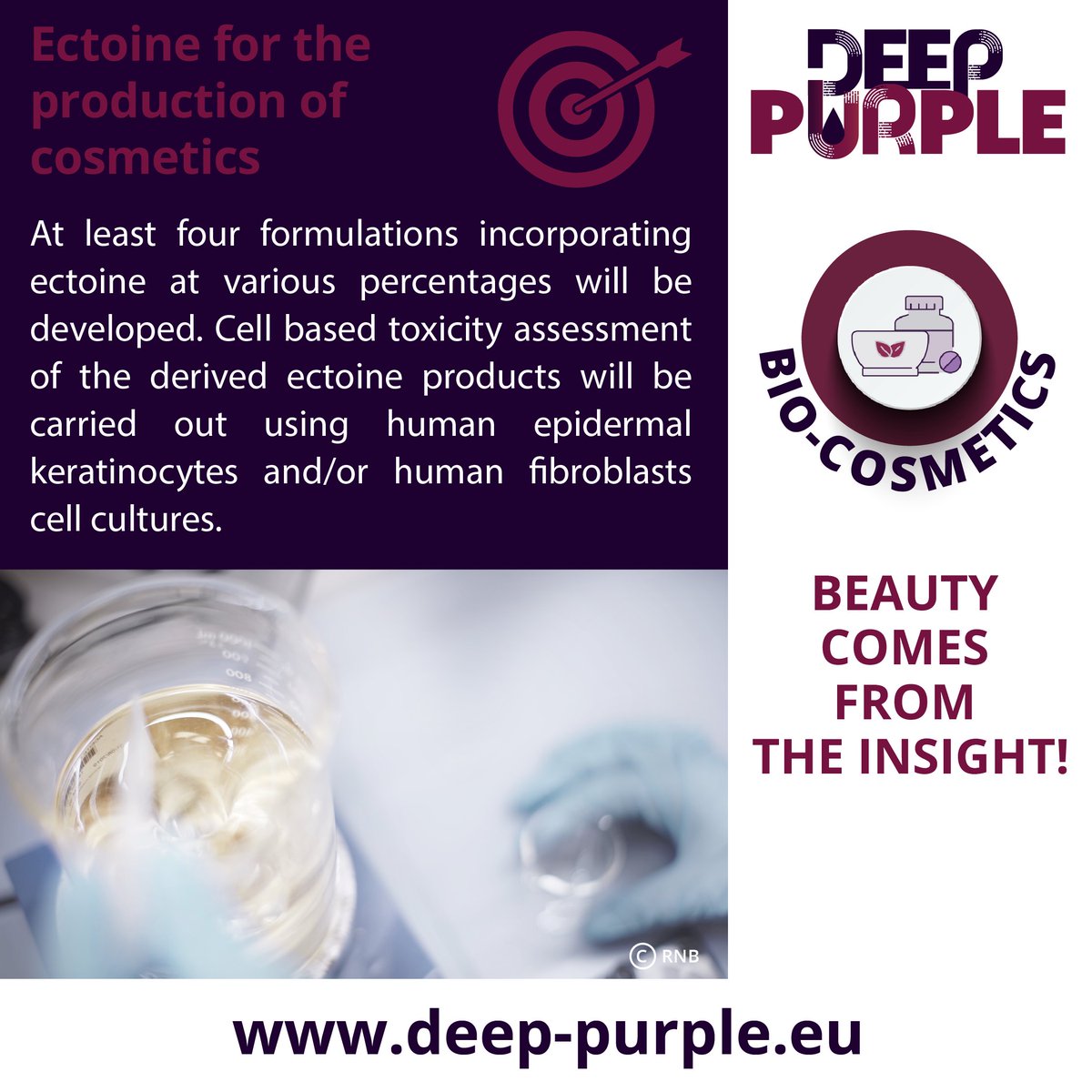 DeeppurpleEU's tweet photo. #biocosmetics #ectoine
RNB COSMETICOS main role in the project is to validate the application of extracted ectoine for the production of cosmetic, including production and validation of pilot cosmetic products. https://t.co/HCGJ2xKQrs
