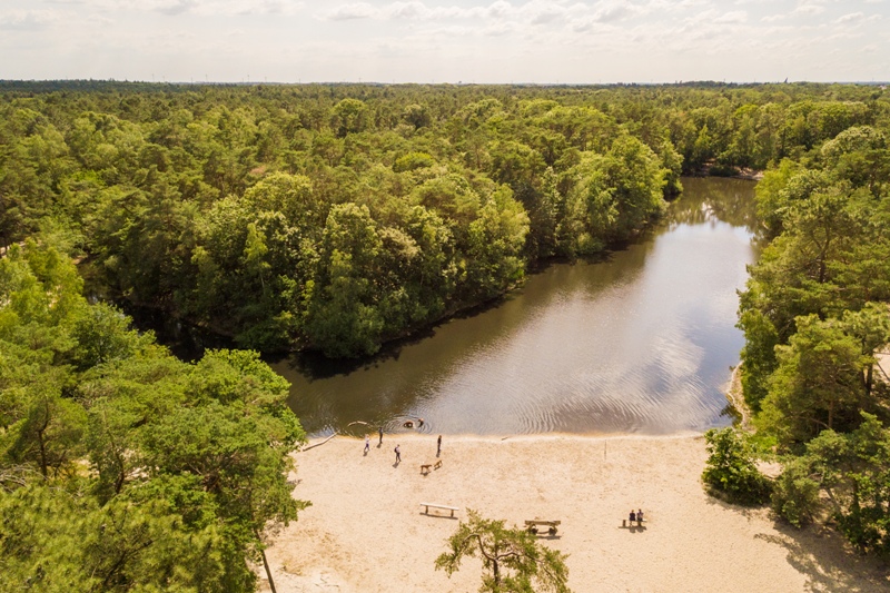 Naast authentieke steden, kent #Brabant een prachtig gevarieerde landelijke en natuurlijk omgeving. In Brabant herken je letterlijk de landschappen van Van Gogh, maar ook de Brabantse natuur is befaamd en...altijd dichtbij! Lees meer over onze streken 👉 ow.ly/ybK050J4Tsl