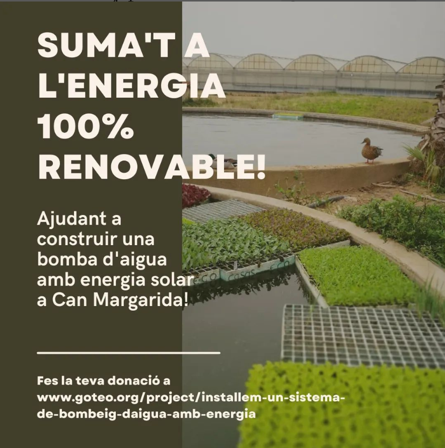 MercatDePages's tweet photo. Els companys de @CanMargarida fan un pas més en el seu projecte #Agroecologic i #Sostenible. Estan instal·lant plaques solars per extreure l'aigua i regar de forma autosuficient, i necessiten la nostra ajuda. 👇 https://t.co/5jxMoSjAiV