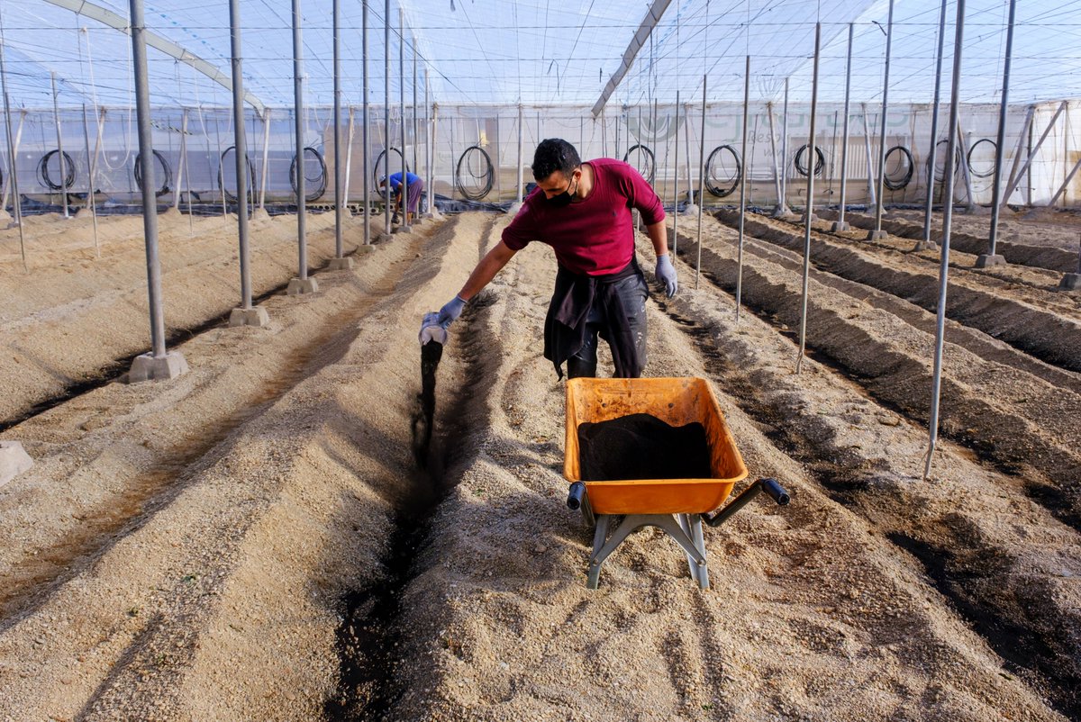 FHALMERIA 🌱 (@fhalmeria) on Twitter photo Novihum garantiza la actividad eficiente de los suelos agrícolas
fhalmeria.com/noticia-32526-…
<a href="/_Novihum_/">Novihum Technologies</a> Novihum garantiza la actividad eficiente de los suelos agrícolas
fhalmeria.com/noticia-32526-…
<a href="/_Novihum_/">Novihum Technologies</a>