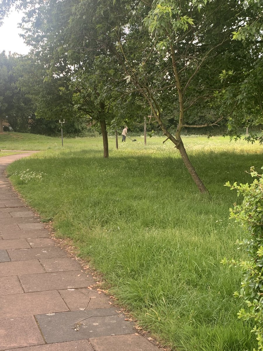 KerryAnnJoy's tweet photo. Whoops - when @HarlowCouncil didn’t cut their grass for our street Jubilee party that they knew about! The residents are giving it a go 🤷🏼‍♀️ #Harlow #QueensJubilee https://t.co/MrUTmeNuYS