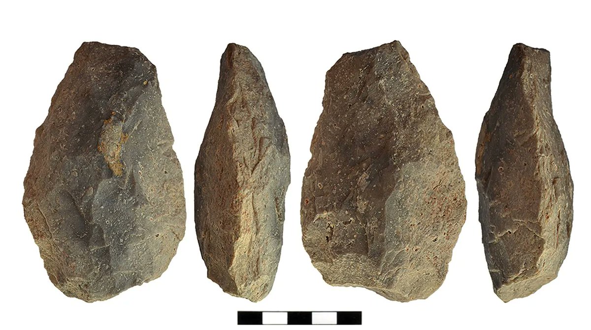 🆕: Archaeologists have found Lower Palaeolithic sites on the Aegean coast of Turkey, showing hominins occupied the region >150,000-years-ago.

🔗 (🆓) buff.ly/3lJ9orY
📷: Bifacial tool/handaxe from Kirsedere Valley