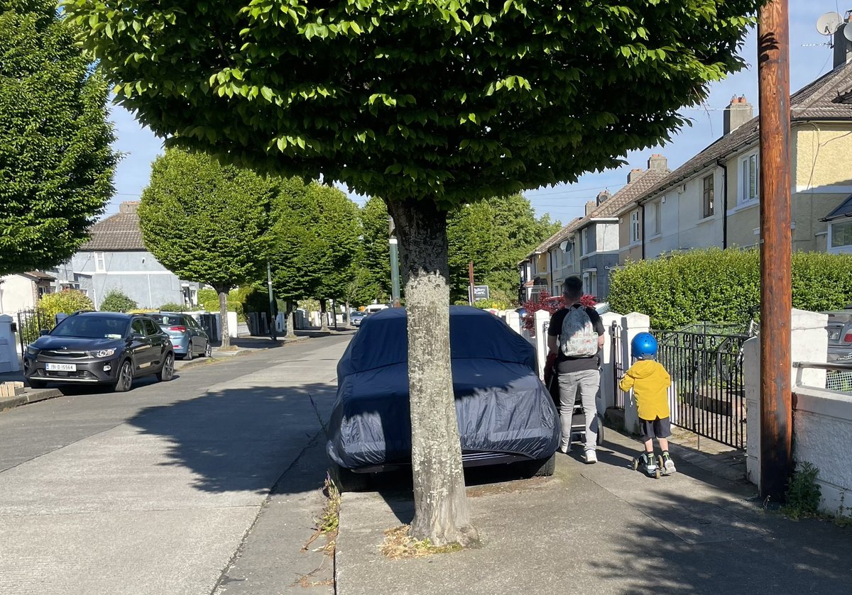 MountTallantMerc tweet media