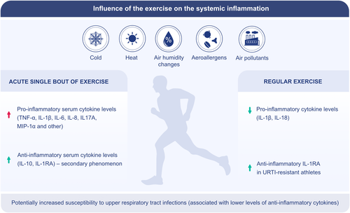 AndreHsj's tweet photo. Exercise is medicine! 🙏 to all @AllergyEaaci friends for the partnership for delivering this one: Physical exercise, immune response, and susceptibility to infections: current knowledge and growing research areas @fmup @ispup #chusj @Imuno_FMUP https://t.co/XEjMmXwZVa https://t.co/7ZxZb7v60w