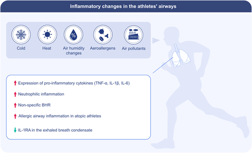 Exercise is medicine! 🙏 to all <a href="/AllergyEaaci/">Allergy EAACI</a> friends for the partnership for delivering this one: Physical exercise, immune response, and susceptibility to infections: current knowledge and growing research areas <a href="/fmup/">yong up lee</a> @ispup #chusj <a href="/Imuno_FMUP/">Basic & Clinical Immunology FMUP</a>  onlinelibrary.wiley.com/doi/full/10.11…
