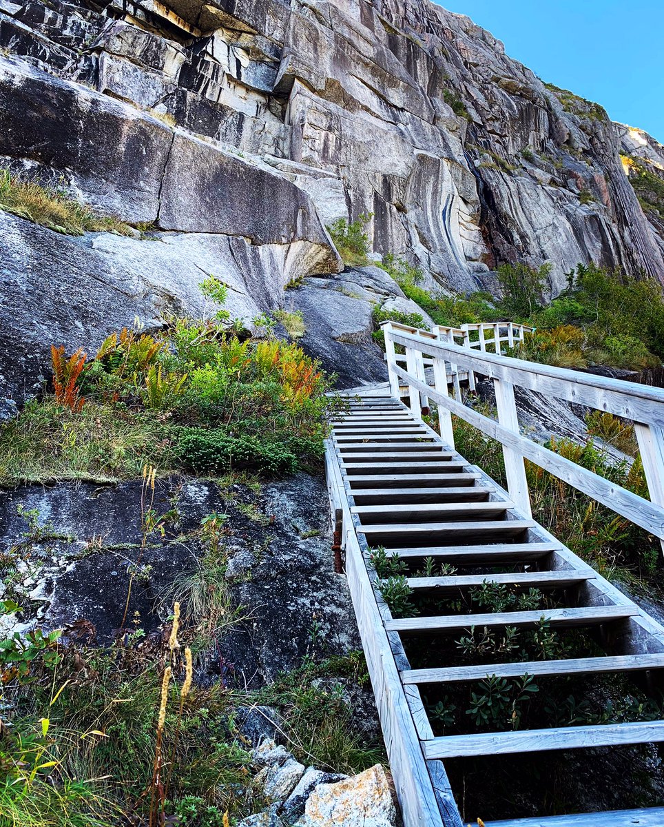 Connie Boland #querying #fiction tweet media