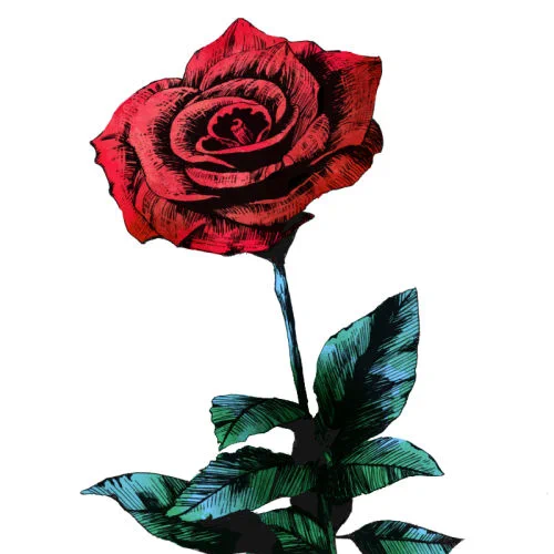 #新しいプロフィール画像概念 