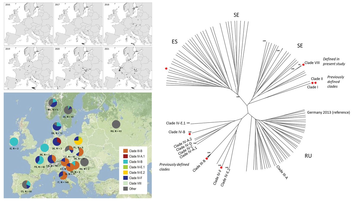 Frédéric Suffert tweet media