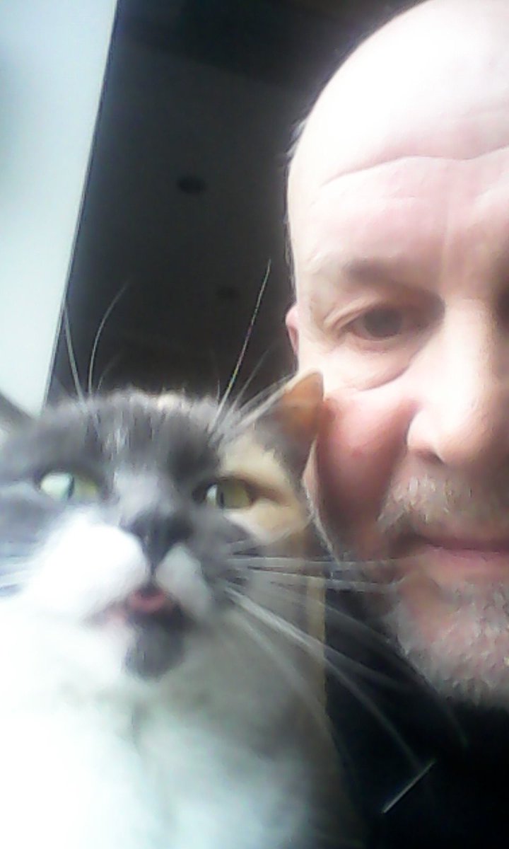 harpergren's tweet photo. Мій тато залишається у місті один, доглядає за нашими двома котами. Я за нього дуже хвилююся, якщо у вас є можливість допомогти з коштами на корм, чи моєму тату, ось картка монобанку.

4441 1144 2141 0901

Сподіваюся це хтось побачить 🥲 https://t.co/qhcmQ6Ptqz