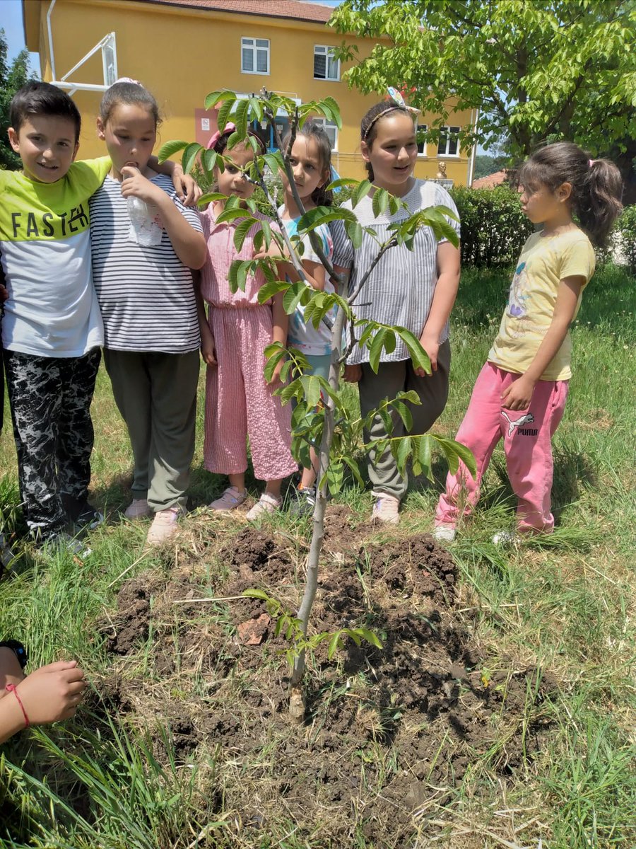 seckoy's tweet photo. Çevre Haftası Etkinlikleri 🌲🌳🌴 https://t.co/rUXiC8rIb0
