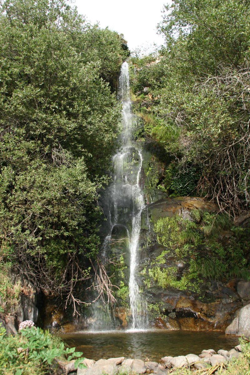 Cinco rutas naturales para darte un chapuzón en Extremadura.
Dos de ellas son la ruta circular de la Garganta de los Infiernos o la Chorrera de Hervás.

Visto en: <a href="/Extremadura_tur/">Extremadura Turismo</a> 
Web: bit.ly/3NP2y0h
Fotos: Alberto Cabanillas Núñez en Flickr y wikimedia.org