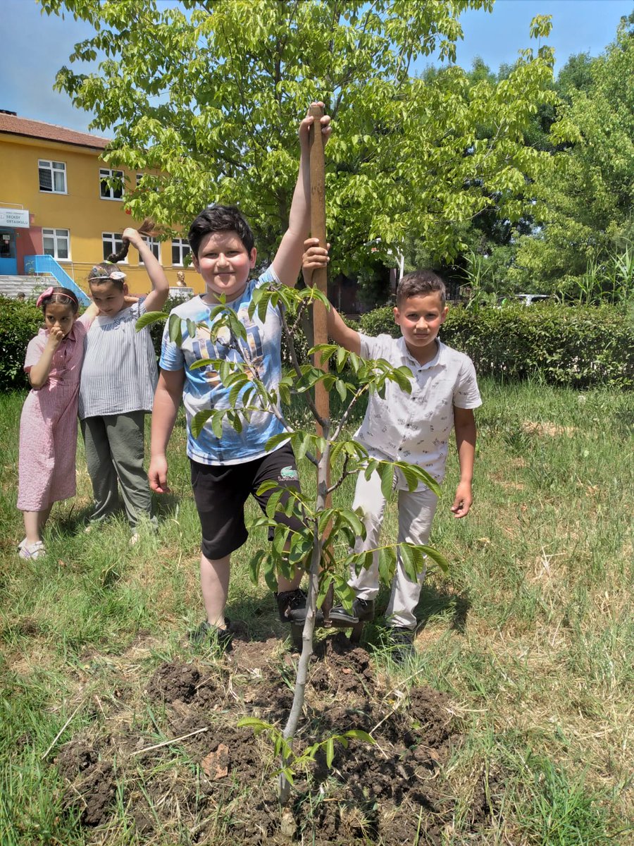 seckoy's tweet photo. Çevre Haftası Etkinlikleri 🌲🌳🌴 https://t.co/rUXiC8rIb0