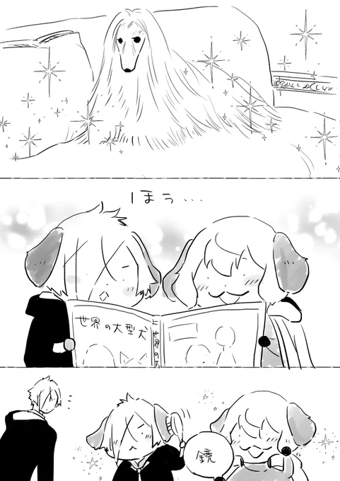 あこがれの毛並 
