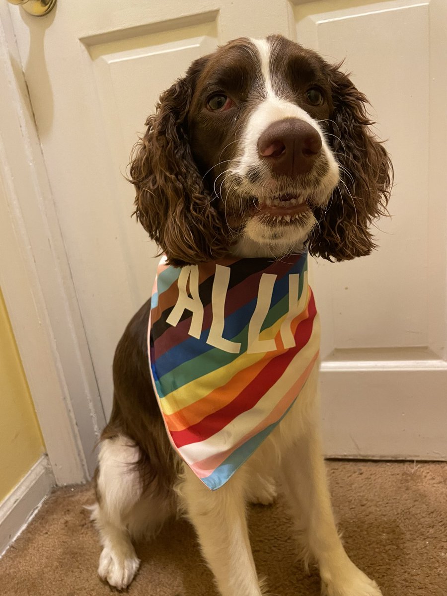 Bpetersen510's tweet photo. Proud today, this month, and every other day and month of the year. 🏳️‍🌈❤️🧡💛💚💙💜 https://t.co/btSTzeRprz